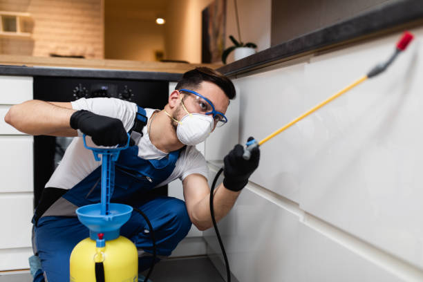 Best Best Pest Control Companies  in Bloomingdale, IL