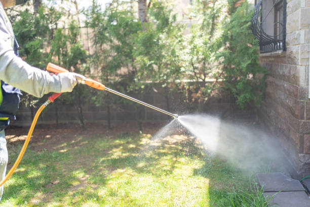 Best Wasp Removal Services  in Bloomingdale, IL
