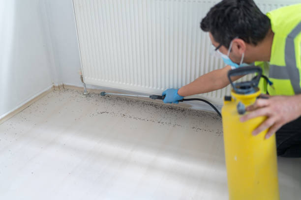 Best Flea Control Services  in Bloomingdale, IL