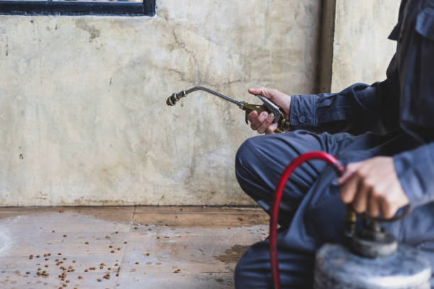 Best Pest Control for Homes  in Bloomingdale, IL